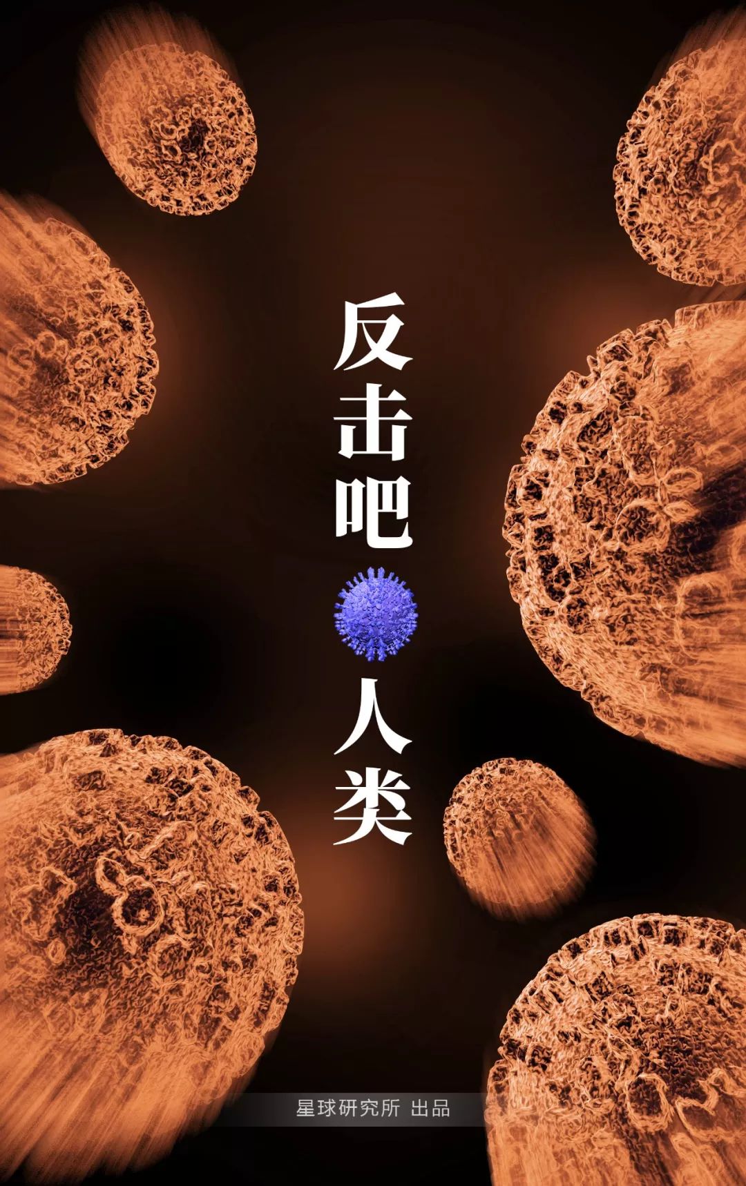 感染病毒后的168小时，你的体内都发生了什么？