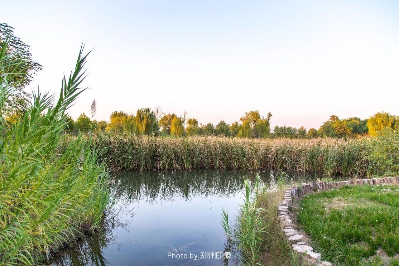郑州漂亮的秋色风景,郑州的这些湖畔藏着最美的秋色