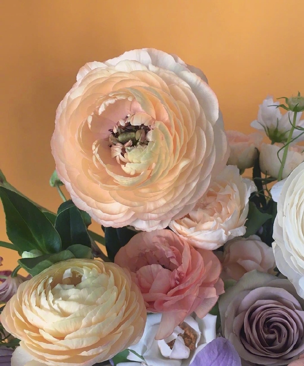 朋友圈心灵鸡汤简短经典句子,写给自己的心灵鸡汤语录温暖走心