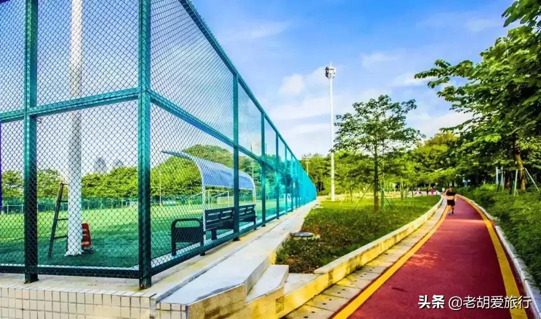 深圳不可错过的游玩地方,2022早春深圳踏青好去处