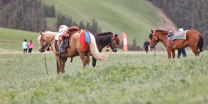 深度游玩张掖旅游攻略,张掖七彩丹霞旅游区攻略一日游