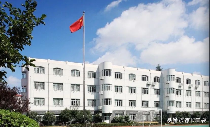 上海热门小学隐藏技：芭蕾、乒乓、潜水、书法、科技……样样有