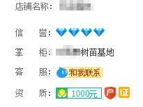 淘宝网店的宿迁神苗,宿迁神苗什么意思