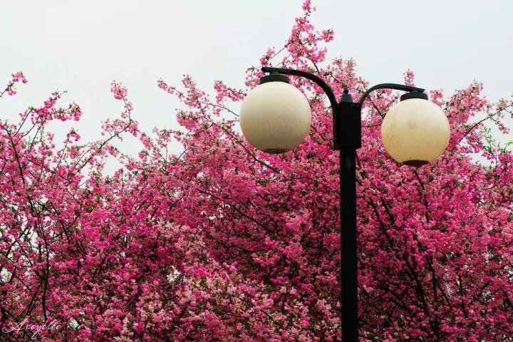 江苏省省长河海大学,江苏省河海大学