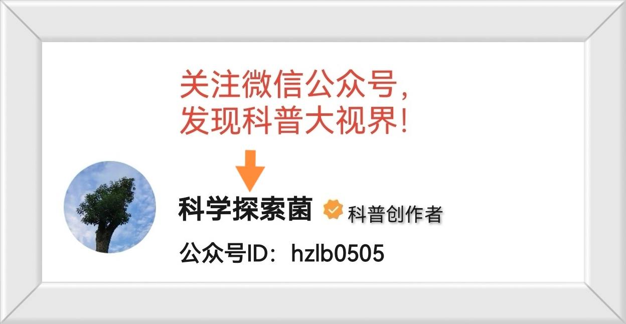 蛇打七寸打哪里最好,为什么打七寸蛇好