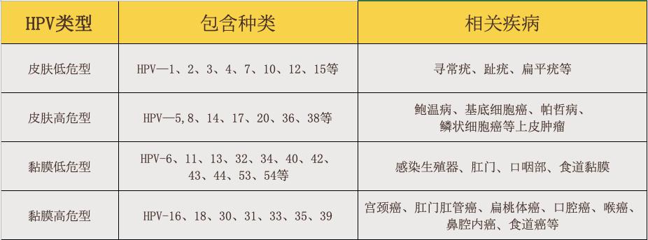 hpv阳性能投保什么保险,hpv阳性买保险瞒报有影响吗
