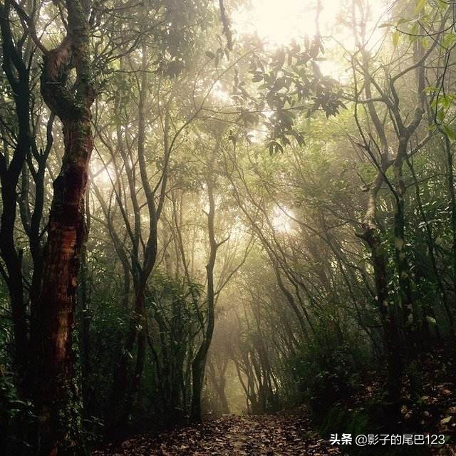 锜掕泧濞朵翰鏁呬簨澶у叏,锜掕泧濞朵翰