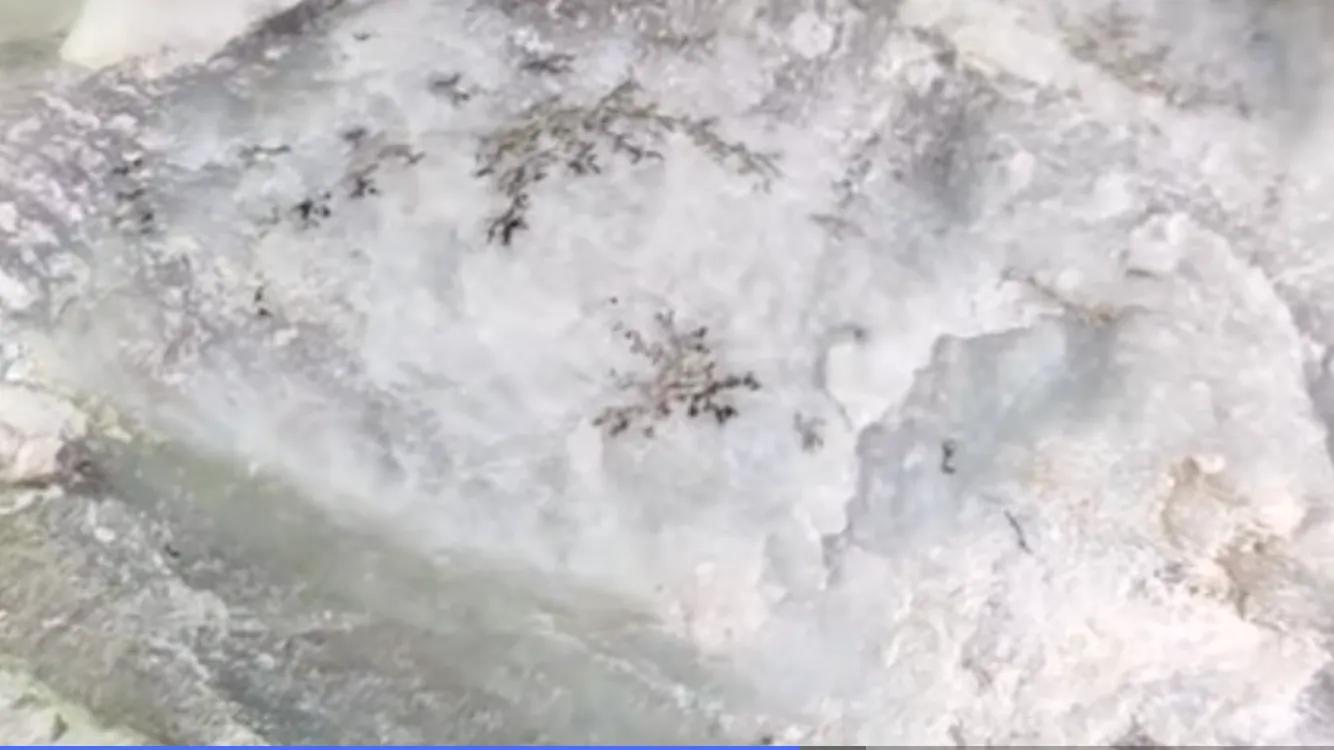 岫岩玉和和田玉有什么区别吗,岫岩的和田玉