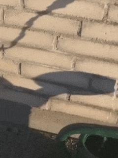 兄弟发型搞笑gif,搞笑男生发型gif