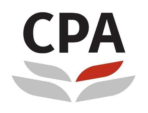 竞价cpa是什么意思,你对游戏cp的认知是什么