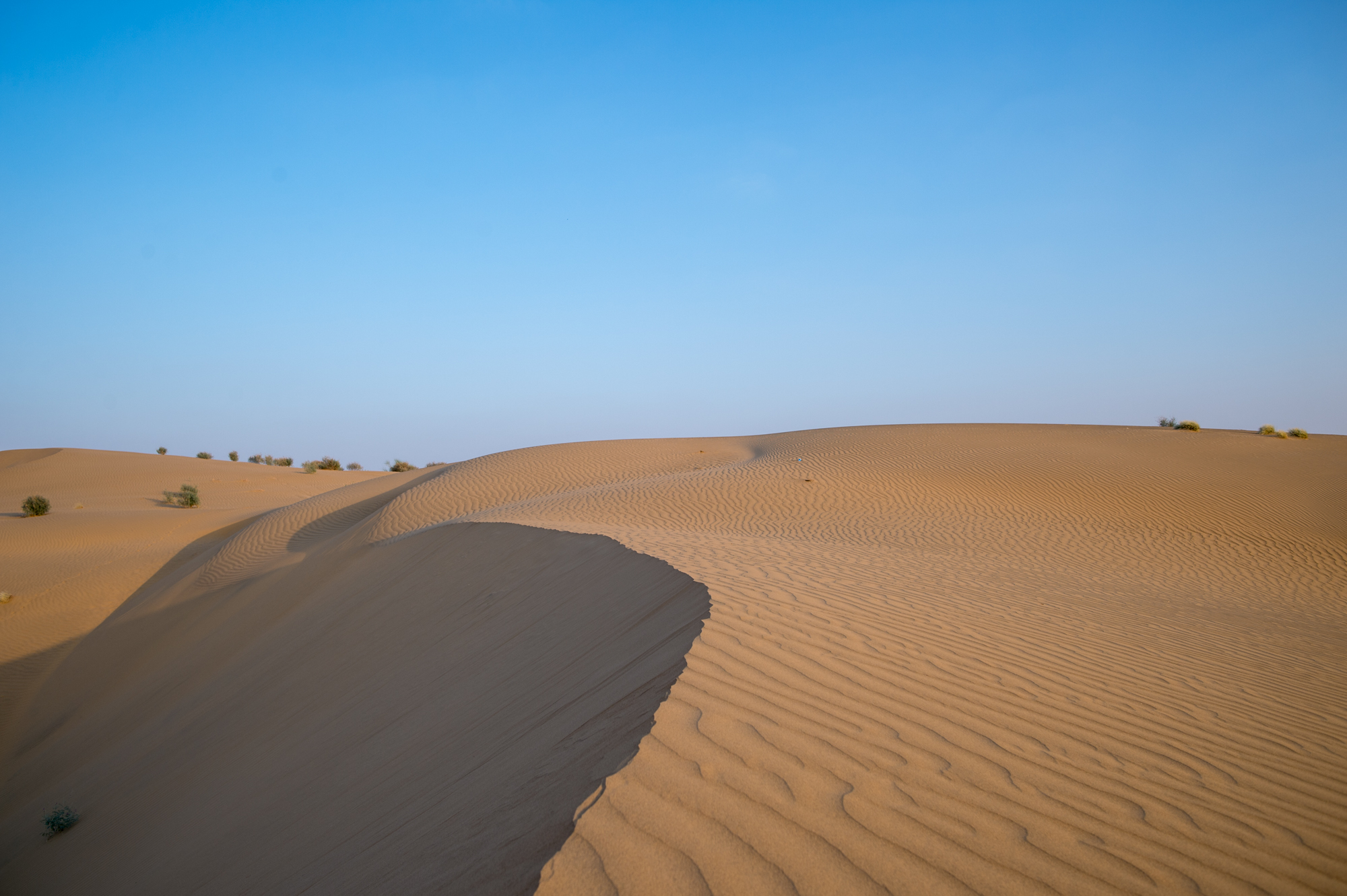 沙漠旅行会遇到的问题,去沙漠旅游可以乱跑吗