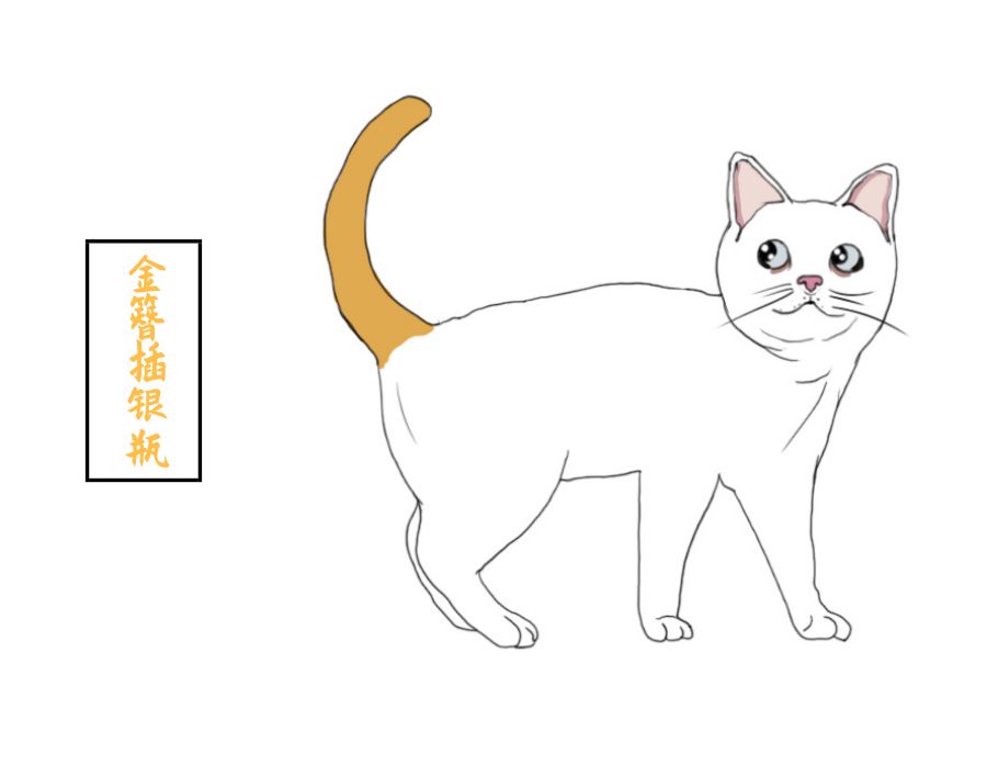 你养的猫在古代都叫什么名字,想知道你家猫在古代是什么样子吗