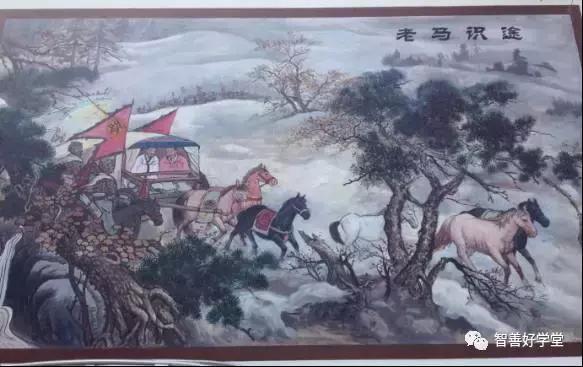 关于马的基本知识和方法,你知道吗关于马的一些小知识