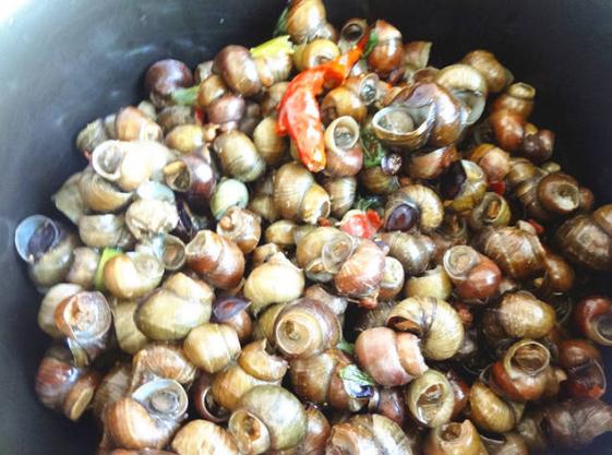 螺蛳粉汤底做法及配方红油,熬螺蛳粉的汤50斤水放多少盐