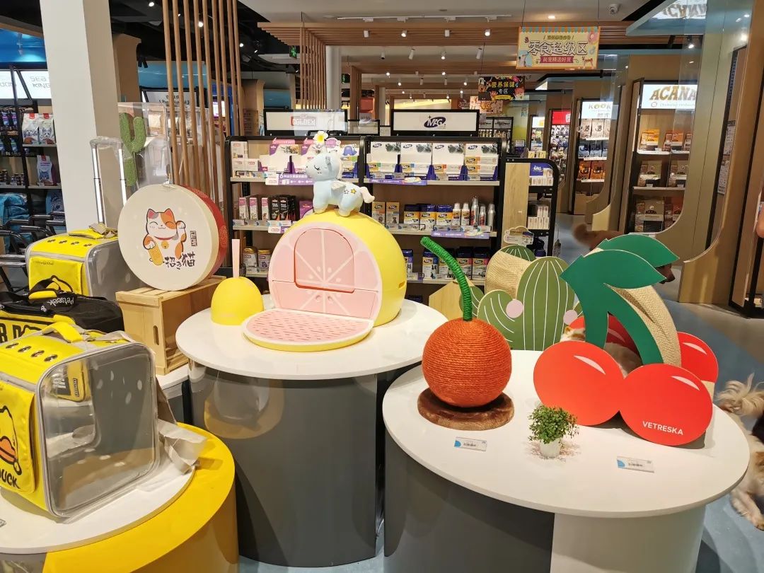 欢迎同行入内，这是一家为宠物店而开的宠物