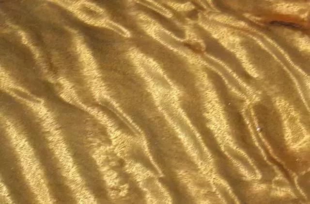 珍藏50年金丝楠现场开料，切出薄如纱的一块，众人瞬间沸腾！