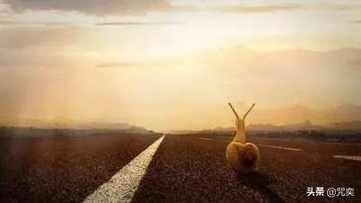 《乖，摸摸头》愿你我在各自的世界好好的