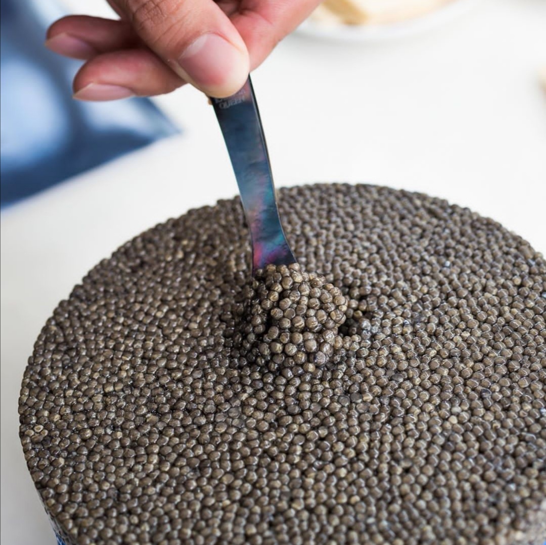 鱼子酱为什么被称为顶级高端美食,鱼子酱为什么是顶级食物