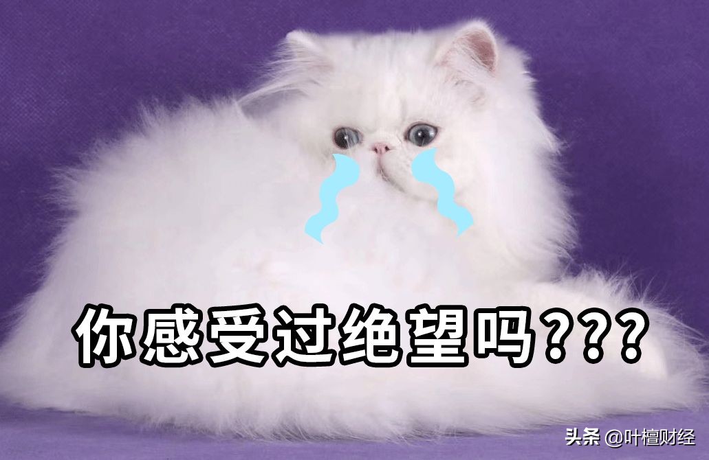 银行里的怪事有哪些,怪事背后有真相