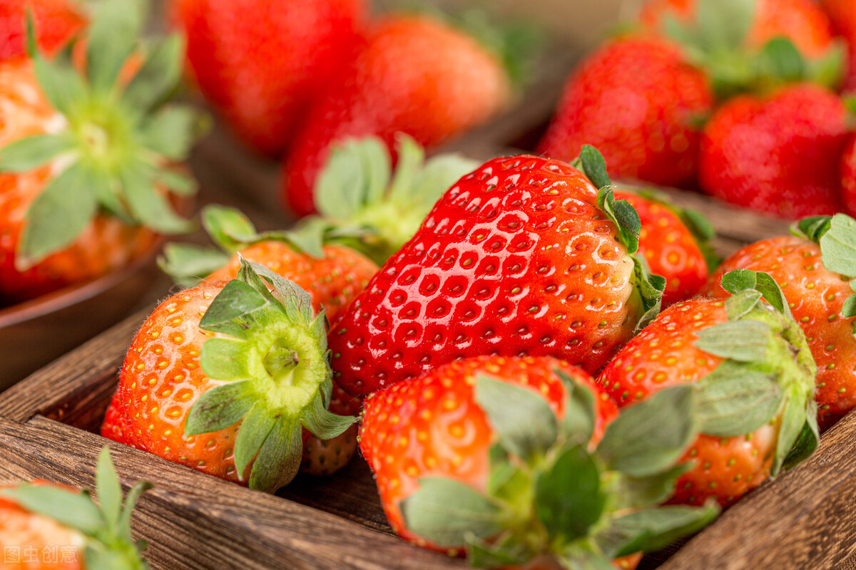 盆栽观果植物有哪些,观果植物具备哪些特征