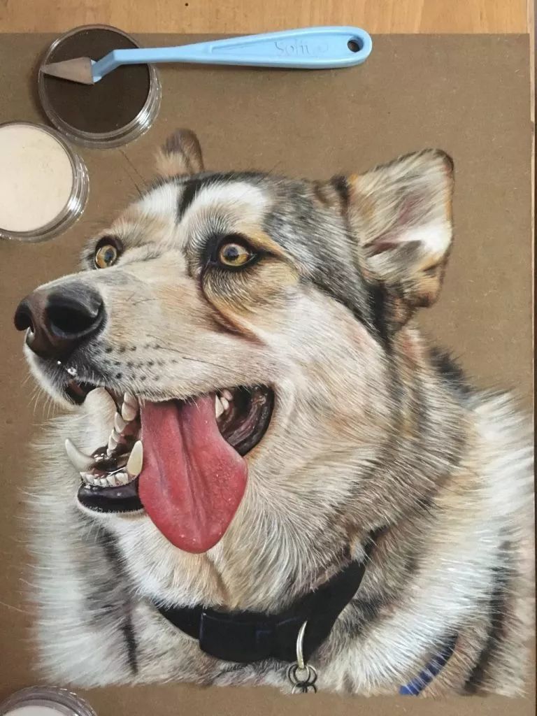 3d立体画写实彩铅,超写实彩铅手绘细腻的让人咋舌