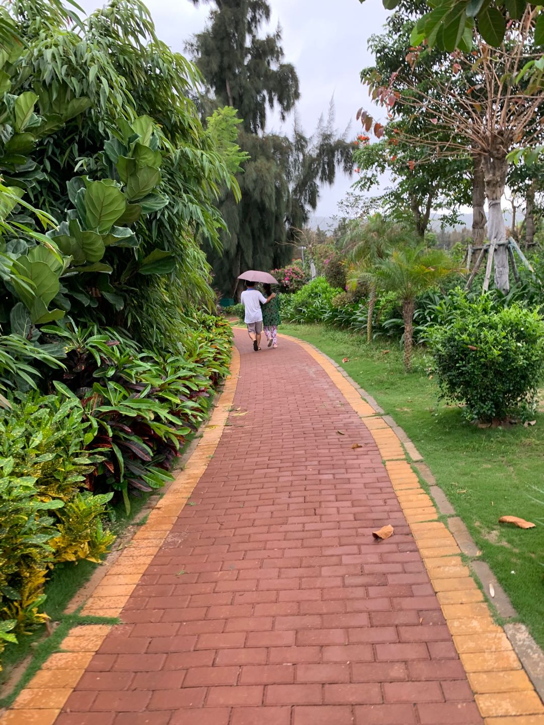 古稀之年天作合-------因祸得福、喜出望外的海南避寒床车之旅