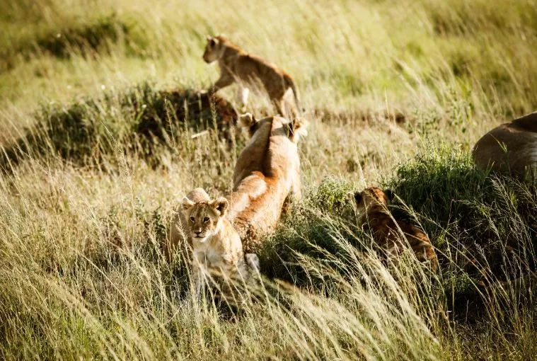 小众蜜月度假地点推荐,小众度蜜月旅游胜地
