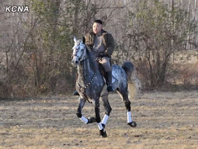 白马踏雪山金正恩座骑大有来头｜除了帅气人类为何钟情白马？