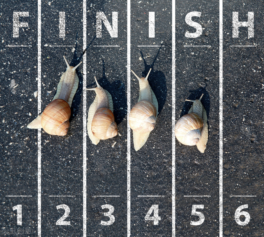 金龟子的昆虫知识,知了星天牛金龟子都是害虫么