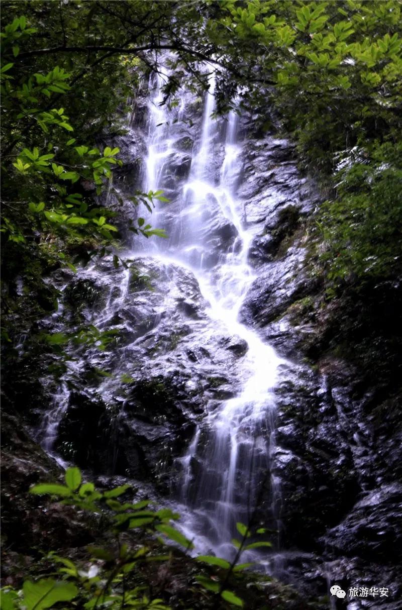 春风十里不如你，我在华安等着您