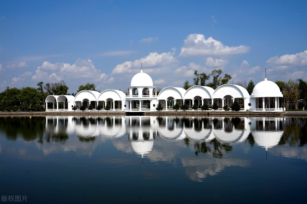 北洋政府派兵西伯利亚,北洋政府派兵