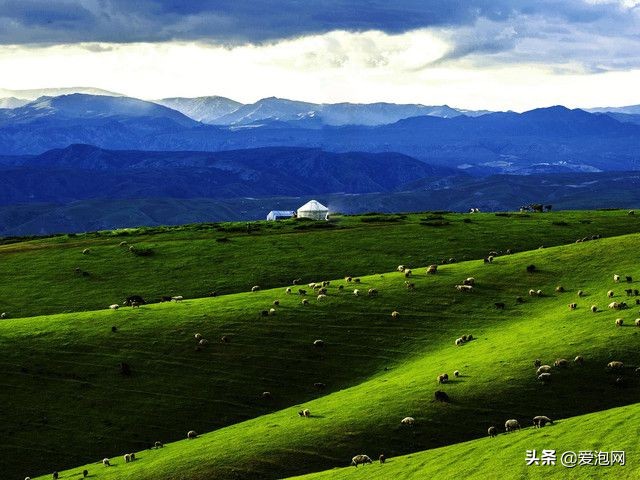 贵州最美避暑胜地,贵州六盘水乌蒙大草原避暑攻略