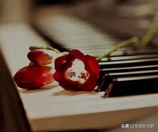 律师刘宏伟简介,北京刘宏伟律师