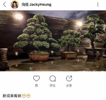 郭碧婷再被疑怀孕,郭碧婷孕期微博