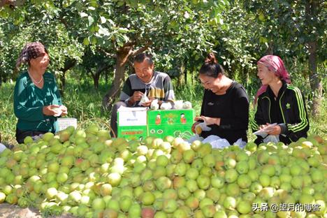 越来越多的消费者选择拼多多,为什么好多人都选择了拼多多