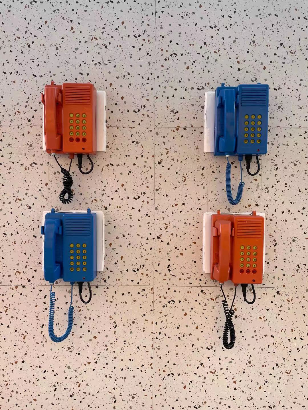 今日深圳龙华旅游攻略,深圳周末龙华去哪玩推荐