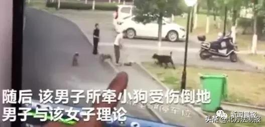 女子遛3只狗不牵绳！湖北男子遭狗撕咬*体下**受伤严重，缝了30多针
