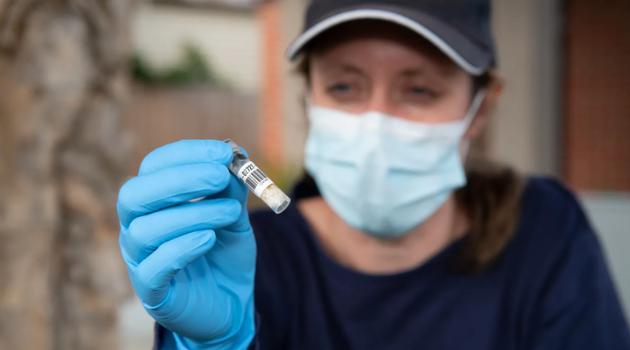 澳大利亚溃疡性结肠炎,澳大利亚皮肤病