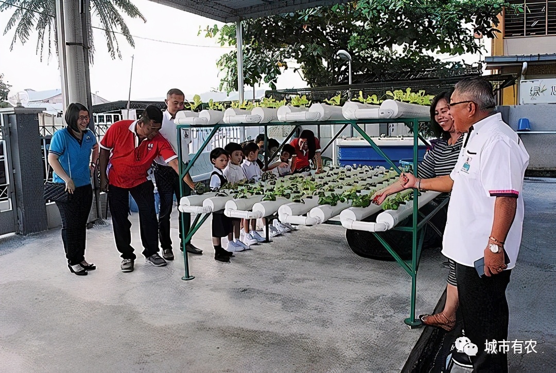农业大学鱼菜共生技术,鱼菜共生智慧农业