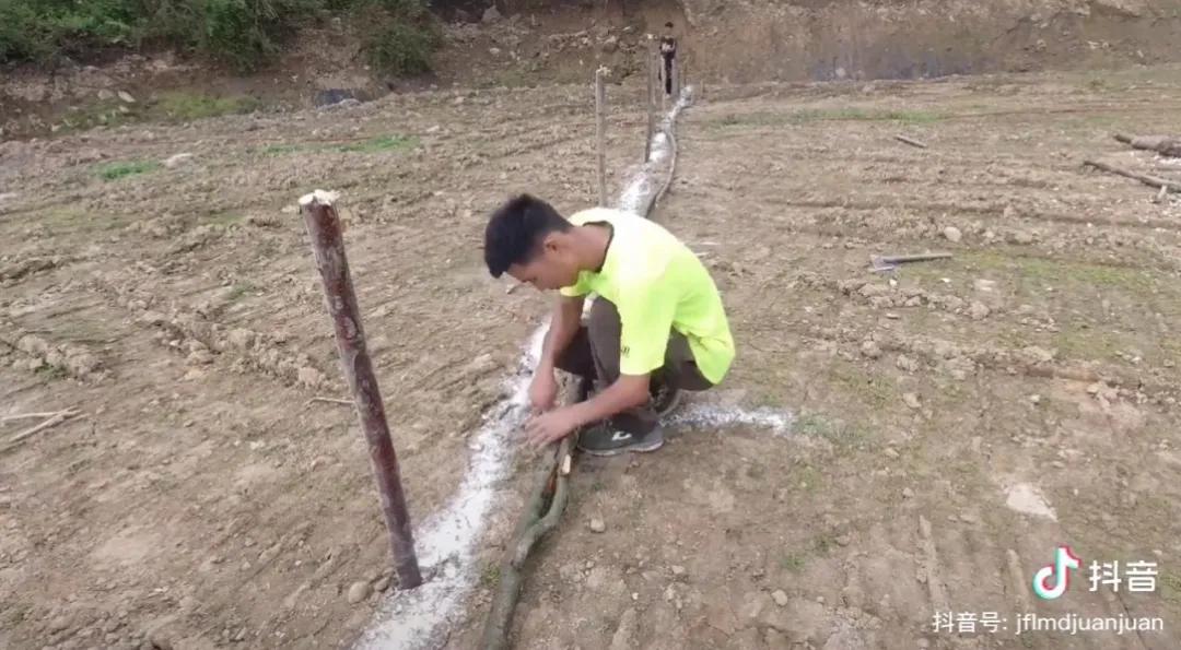 这群上不了赛场的人，给辱骂奥运会运动员的喷子上了最好的一课