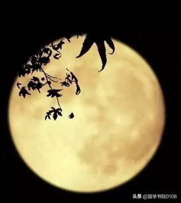 63首经典宋诗，首首出名句