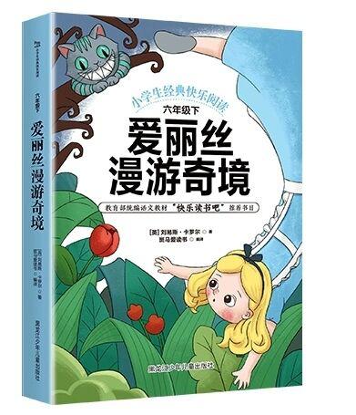 成都天府新区南湖小学,天府新区南湖小学