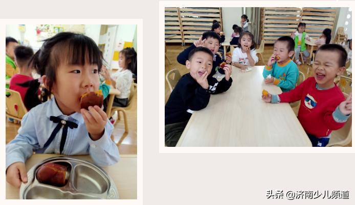 幼儿园红薯生成课活动方案,幼儿园科学教案红薯的成长过程