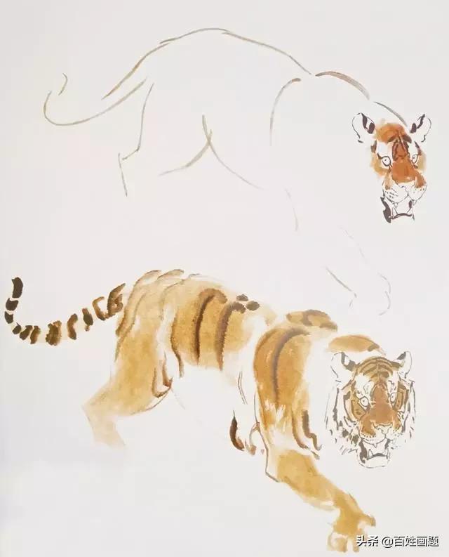 老虎简单写意,写意老虎图片