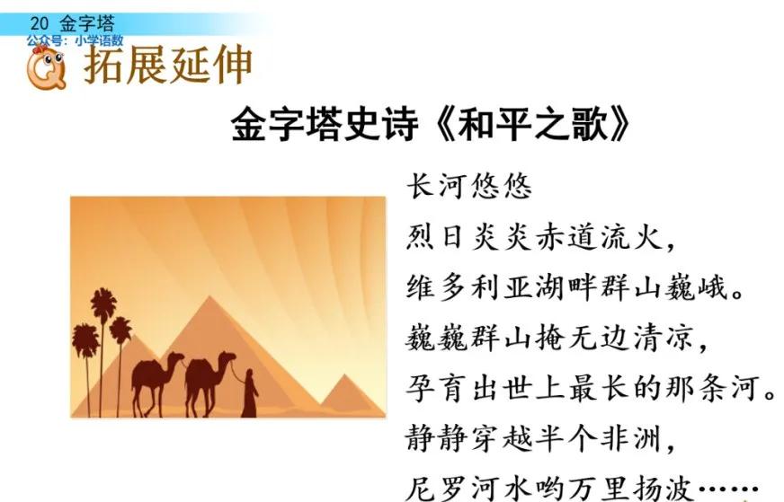 部编版五年级下册语文金字塔教案,语文书五年级下册第20课课后练习