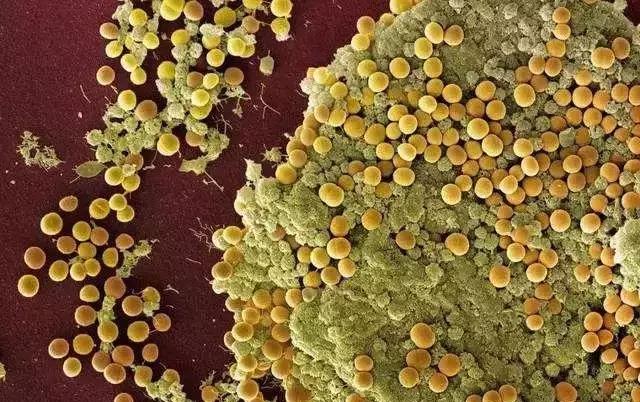 我这手怎么就这么贱呢表情包,手好贱