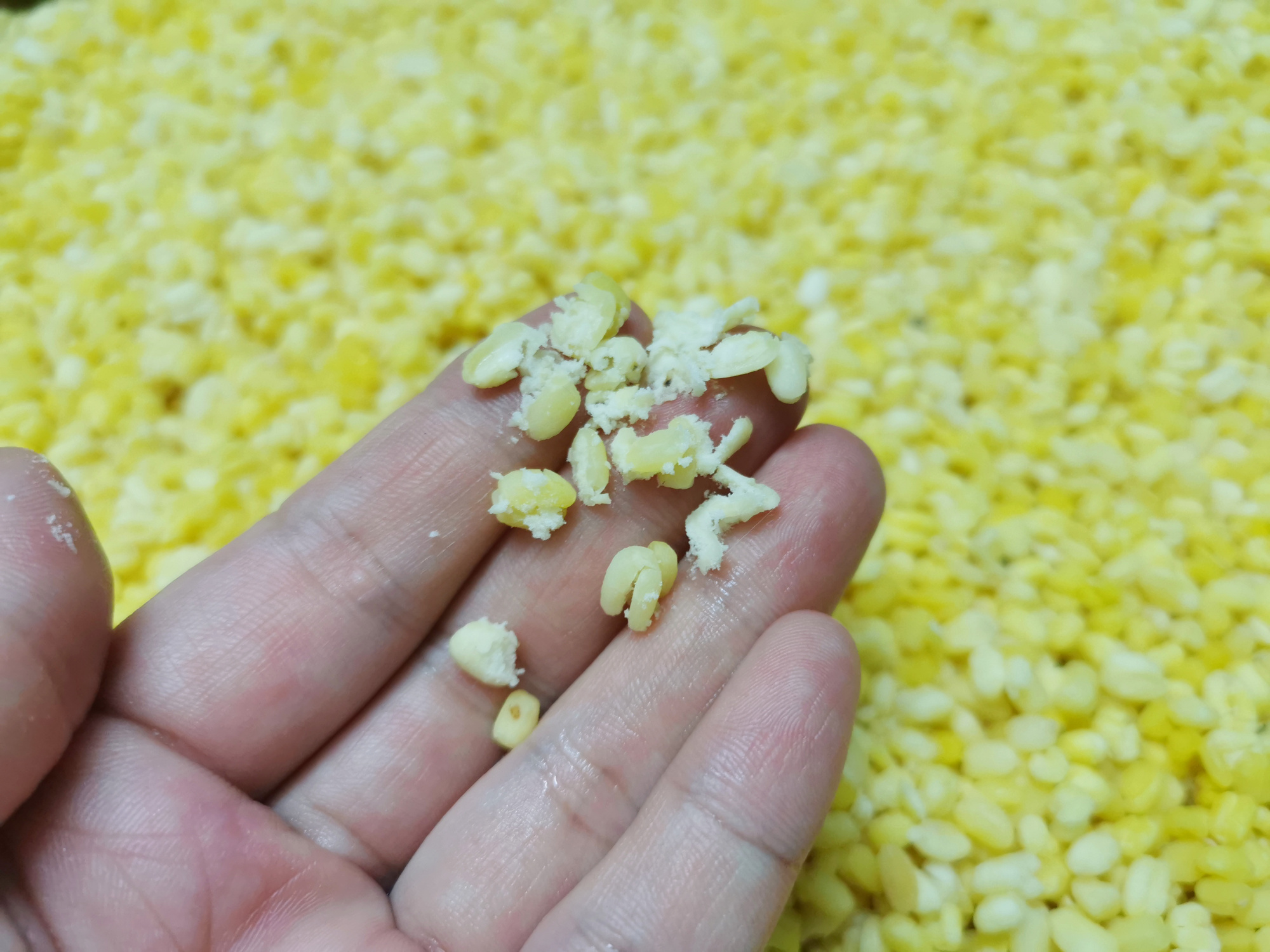 绿豆饼自制无油无糖,酥脆掉渣的绿豆饼做法