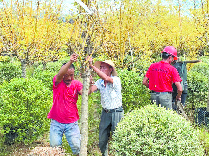 岳阳市驻村扶贫工作队,驻村帮扶工作队特点工作