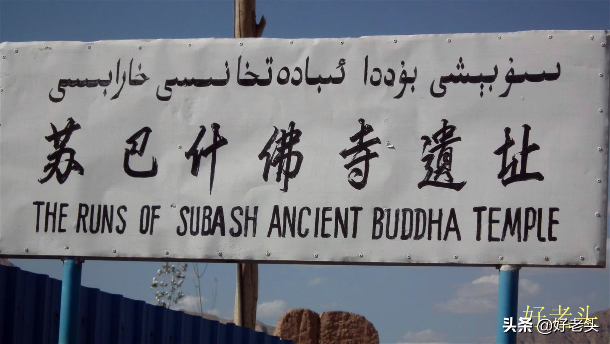 库尔勒轮台胡杨林风景区,胡杨林景区轮台