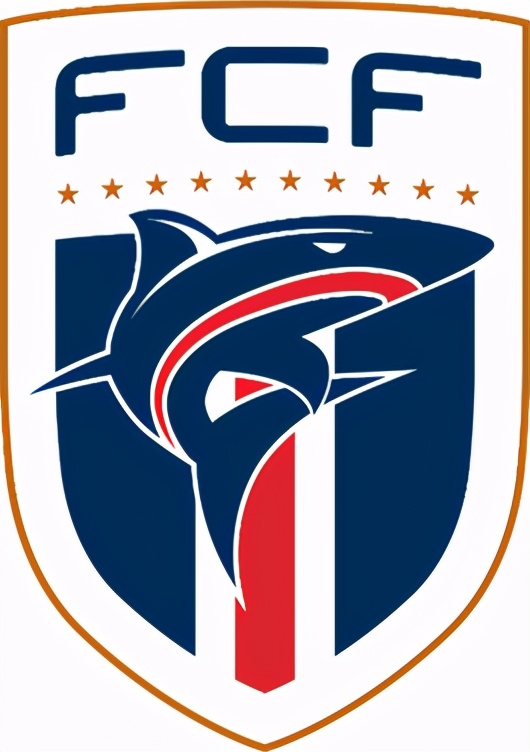 世界足协国家排名,世界各国足协队徽